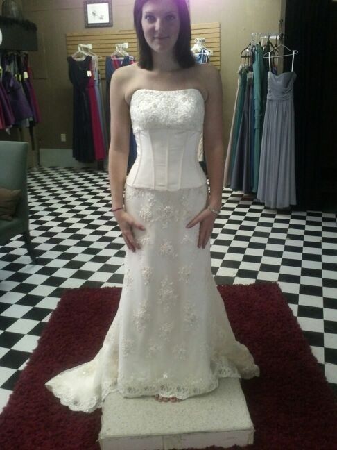 Please help me!! Wedding dress questions/advice!