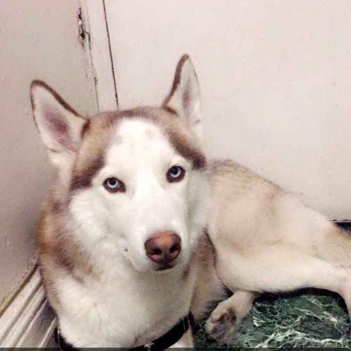 NWR: How could you even consider it?