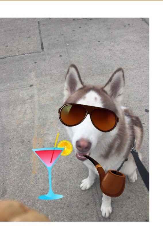 Let me see those fur babies!