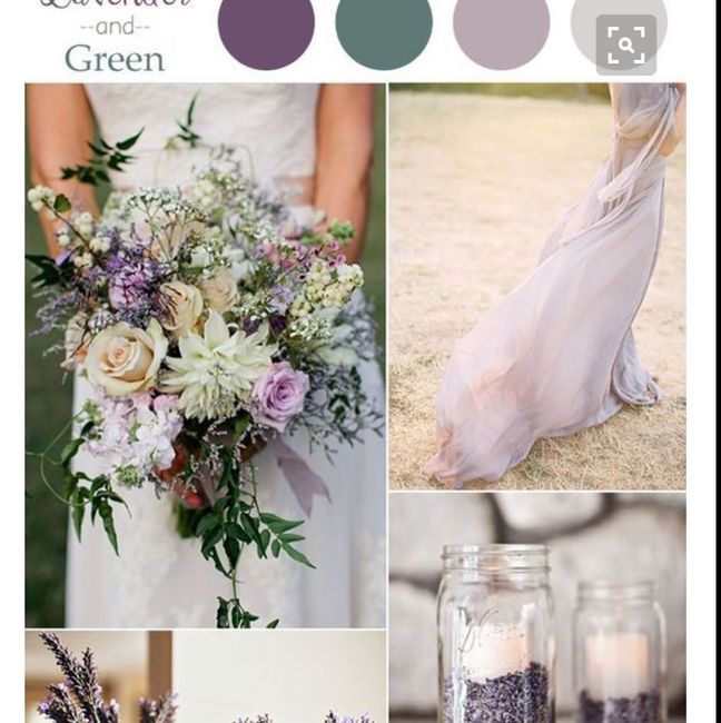 Colors
