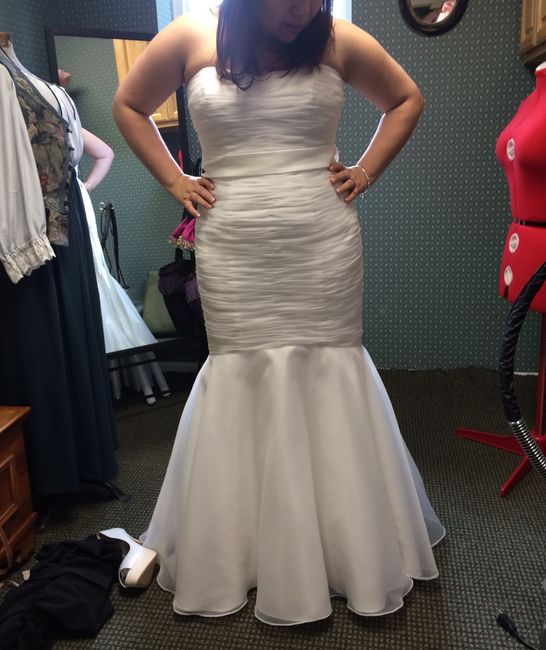 Should I get a corset back put in? Advice needed...