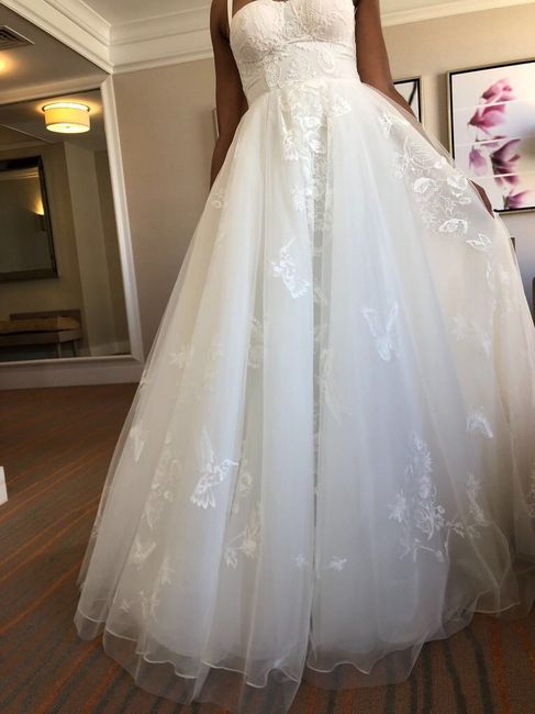 Champagne or Ivory? Help me choose please! 3