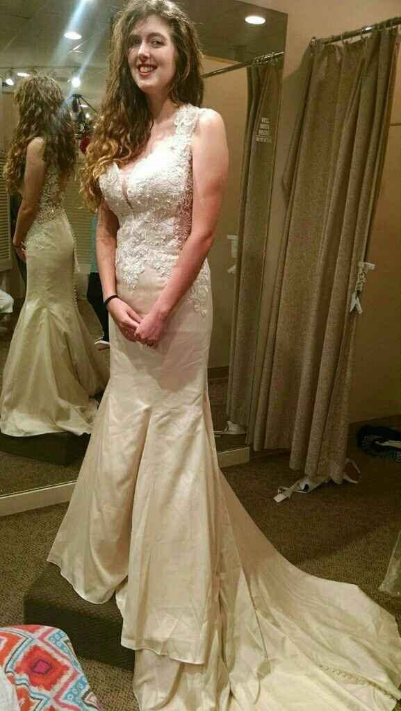 My dress came in.