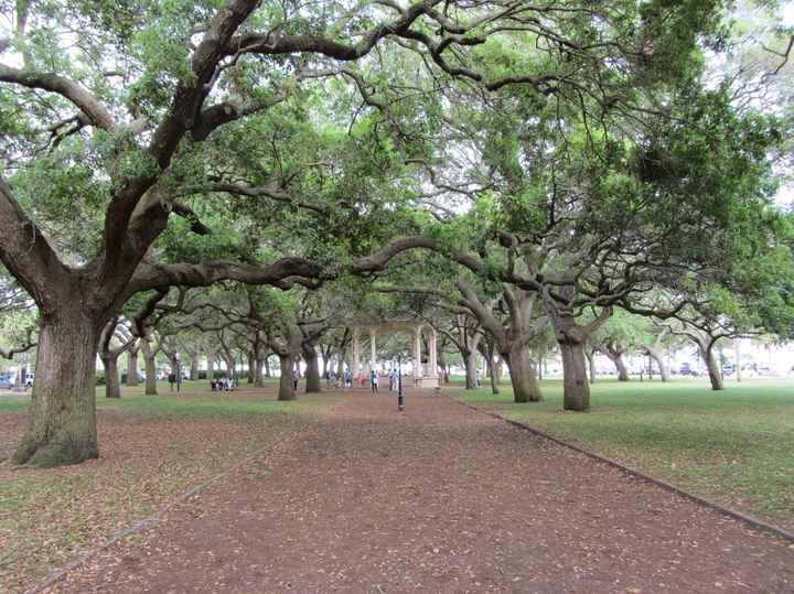 Married with PICS (non-pro)!!!!!