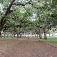 Married with PICS (non-pro)!!!!!