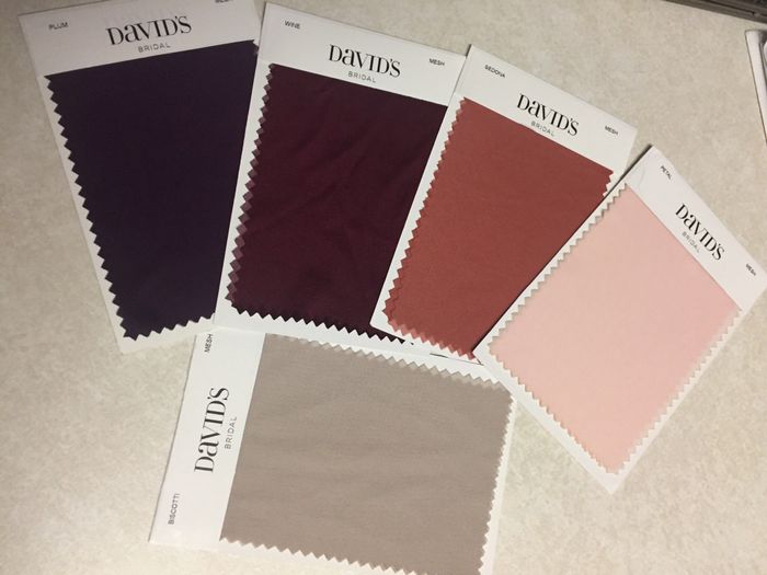 Bridesmaids Gifts - Pashmina Scarves? 2