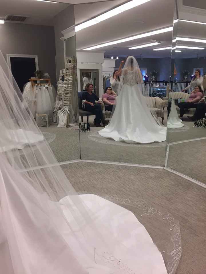 Back/Veil Detail
