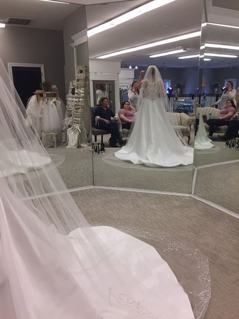 Back/Veil Detail