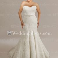 Plus Size Wedding Dress Option