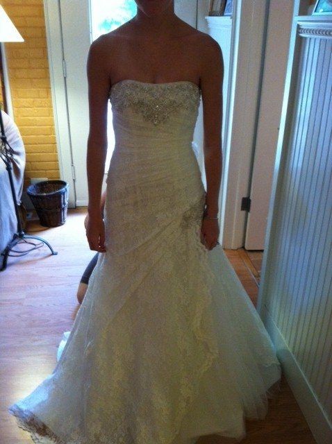 Introduction and Need Opinions Please ;)