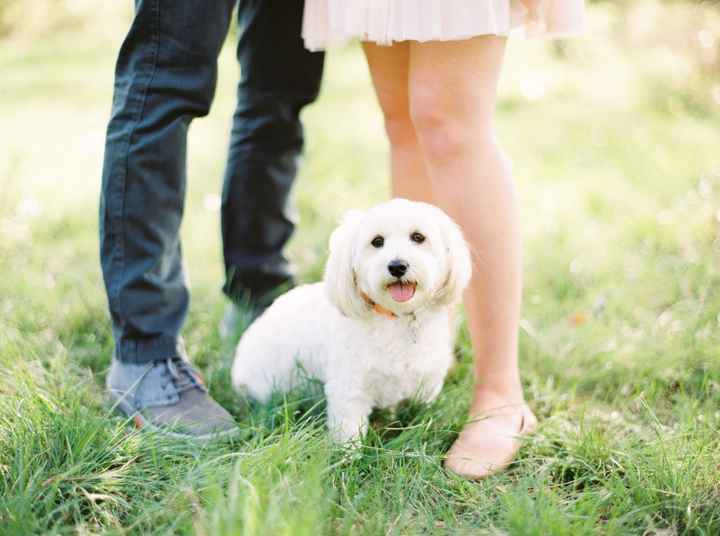 Engagement picture sneak peak!