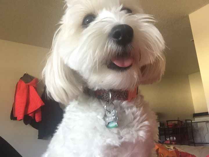 Thursday Fursday!
