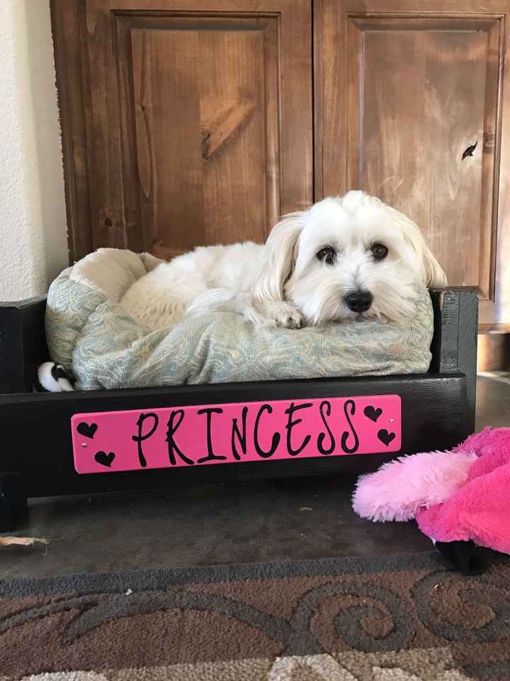 NWR- New Puppy