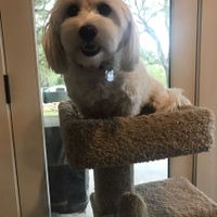 Show Me... Cheering Up!