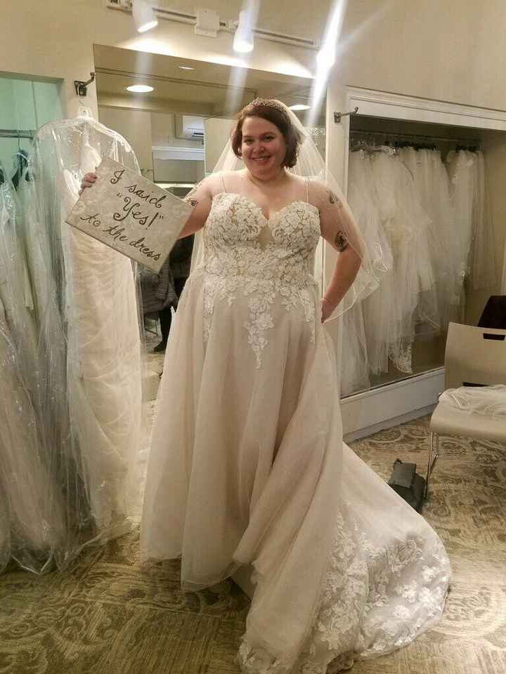 How many dresses have you tried on? - 1