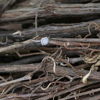 Let's see your rings!! <3