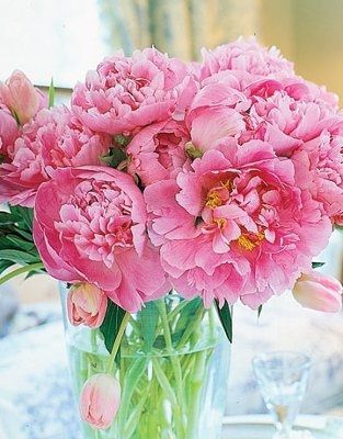 Peonies