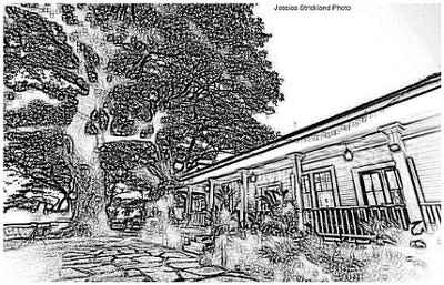 Ladies with magical searching fingers! Looking for Banyan and Plantation house drawing for wedding i