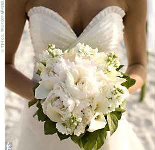 Peonies