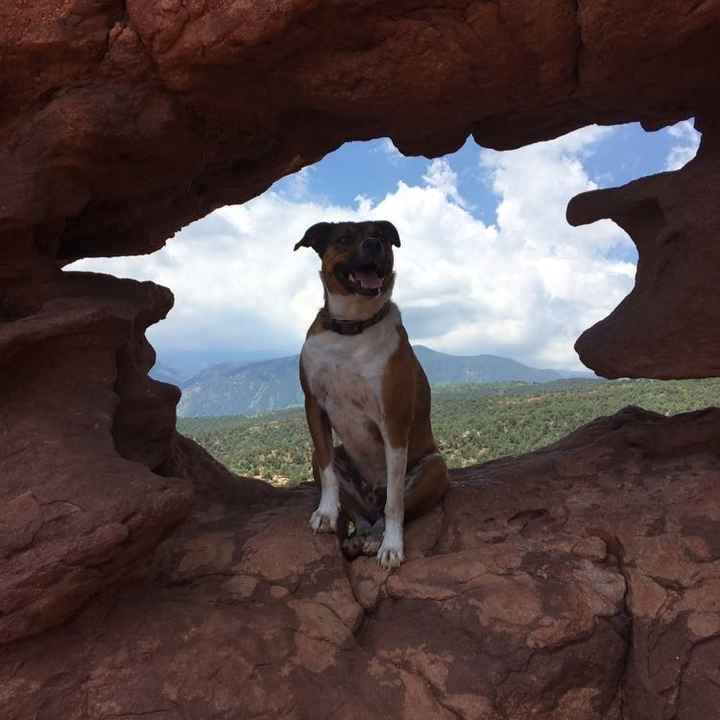NWR: National Dog Day!