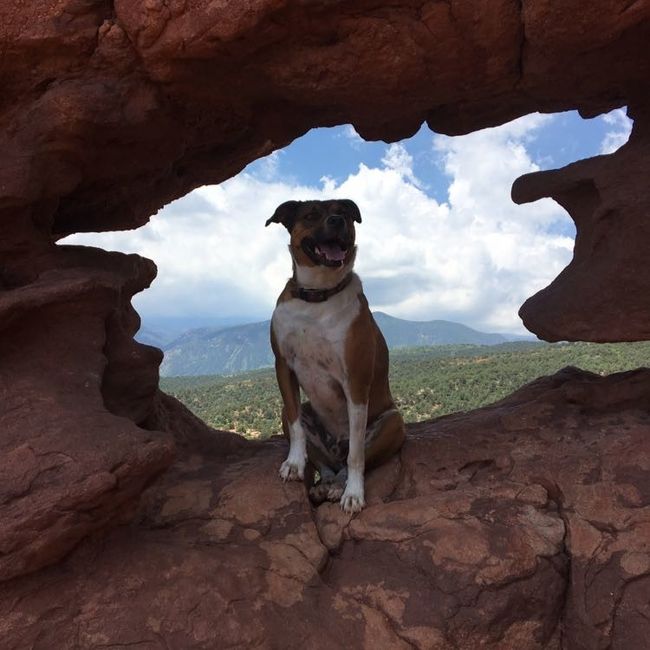 NWR: National Dog Day!