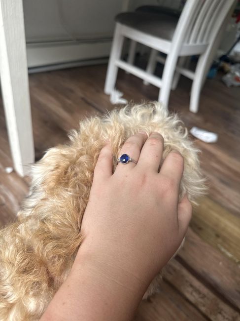 2024 Brides - Show us your ring! 5