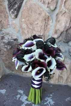 The Calla Lily Speaks to Me...