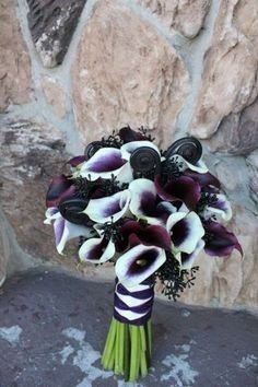 The Calla Lily Speaks to Me...