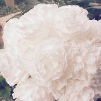 Coffee Filter Centerpieces - Opinions?