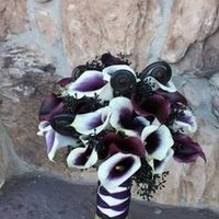 The Calla Lily Speaks to Me...