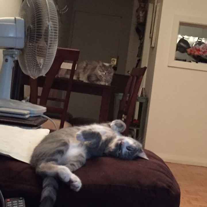 NWR: Any other nurses out there?