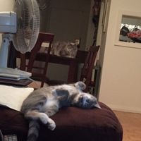 NWR: Any other nurses out there?