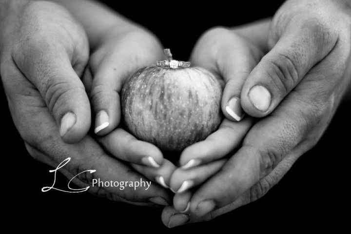 E-PICS! Preview