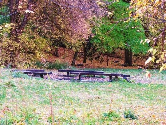 Big Day Luncheon Location *PICs...thoughts/advise