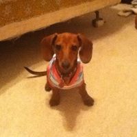 NWR:Cleaning House?!