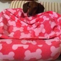 NWR:Cleaning House?!