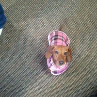 NWR:Cleaning House?!