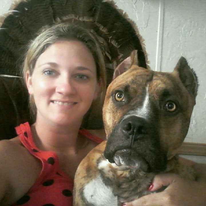 NWR: Bored? Show off your pets!