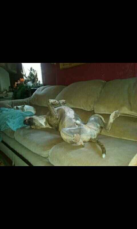 NWR: you and furbaby pic!