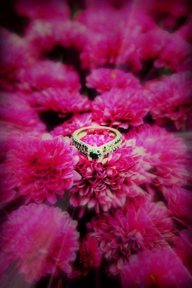 Who's got a Pear shaped diamond E ring??