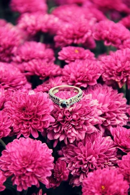 Engagment Photos are in! Should I do a re-do?