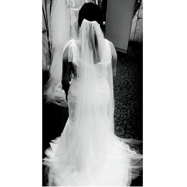 Share your veil!