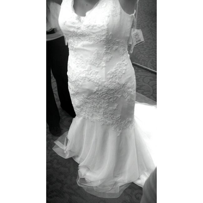 Anyone having a low budget wedding? Whats you wedding dress budget?