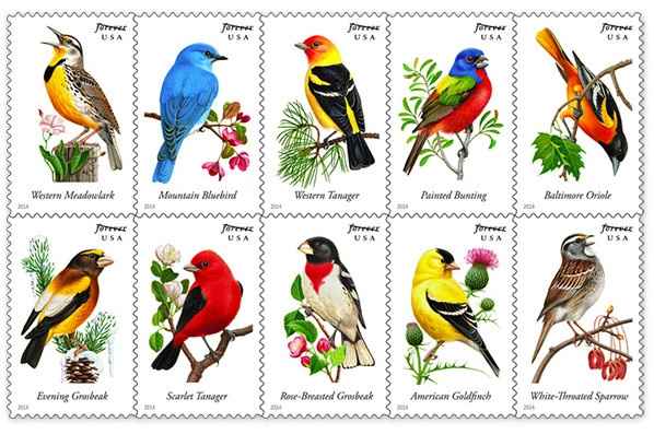 Anyone doing fun or custom stamps?