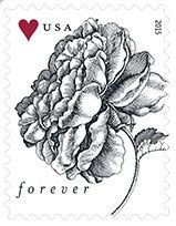 Anyone doing fun or custom stamps?