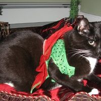 PR - Pet Related!