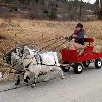 Post a pic of something that makes you happy!