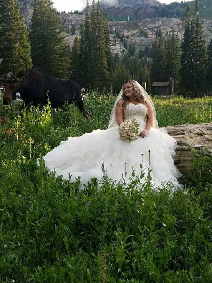 BRIDALS!  Non-Pro Pics