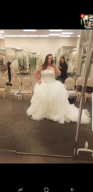 Let's See the Ball Gown!