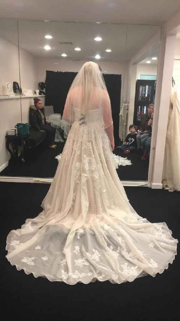 Getting second thoughts about the dress - 1